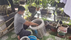 Vệ Sinh Máy Giặt Vĩnh Lộc A Sạch Bong | Tháo Rã Báo 1 Giá